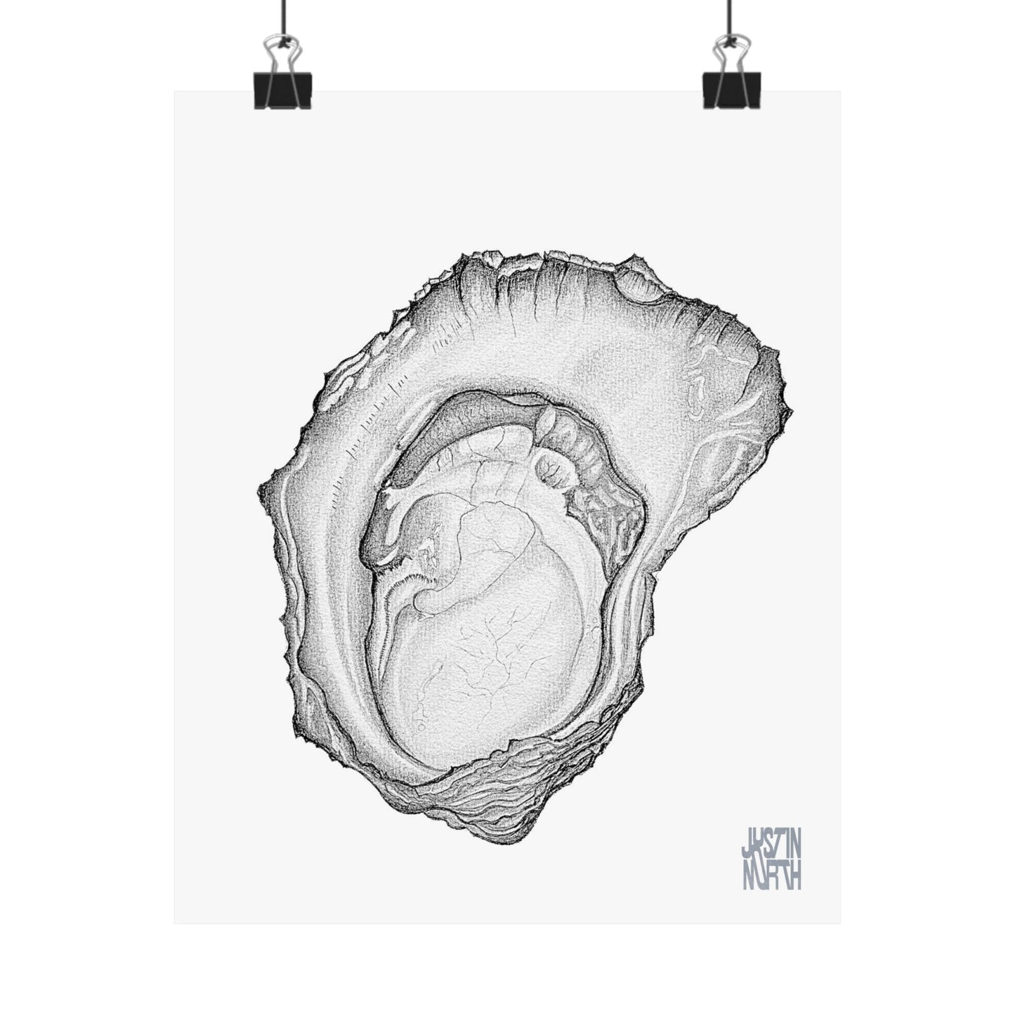 Rock Oyster Illustration