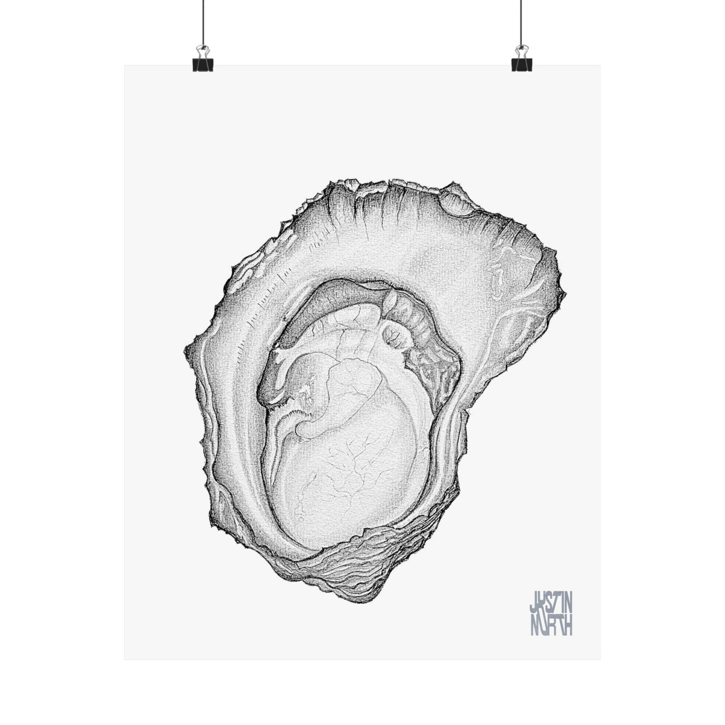 Rock Oyster Illustration